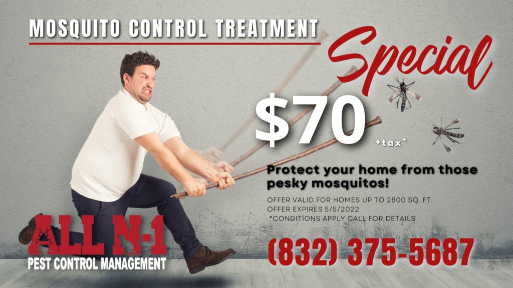 Cypress Mosquito Treatment Special