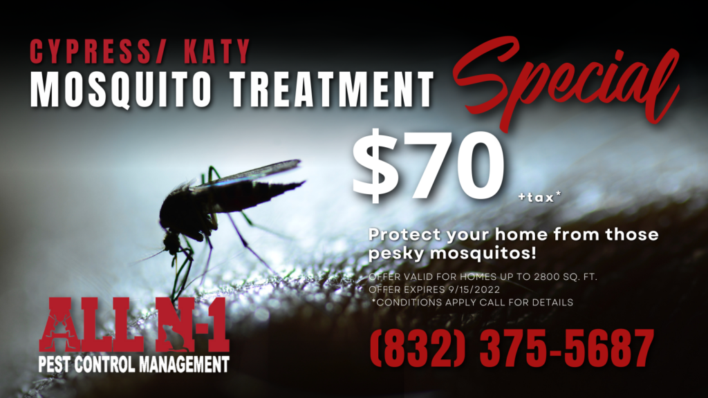 Pest Control Katy