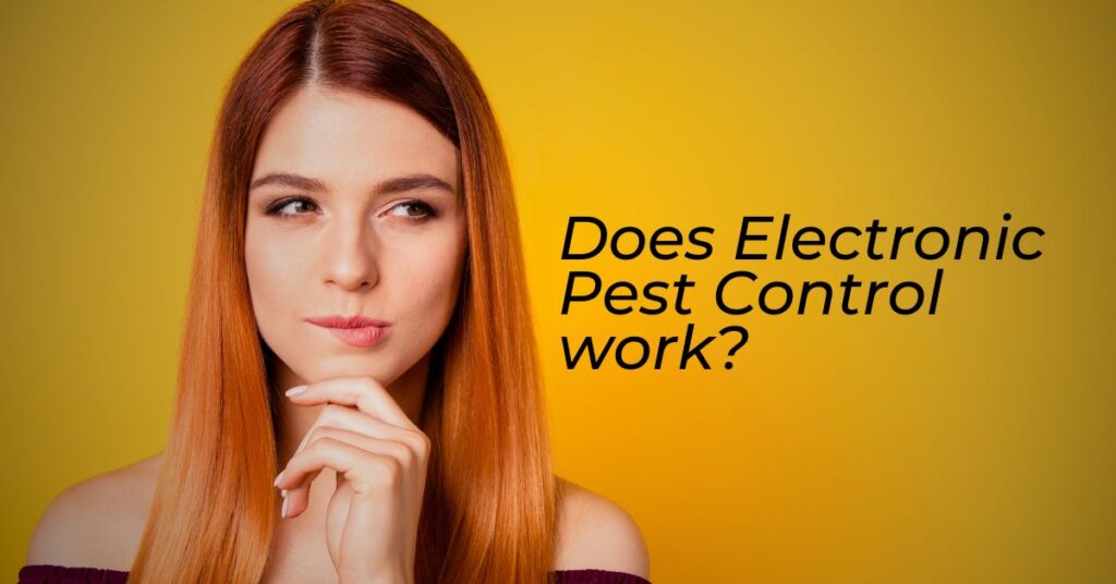 The Effectiveness of Electronic Pest Control: Does it Really Work?