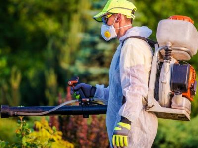 Pest Control in Katy, TX